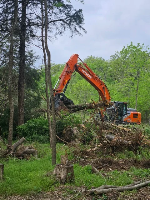 Excavator with grapple bucket clearing fallen trees and brush from wooded land