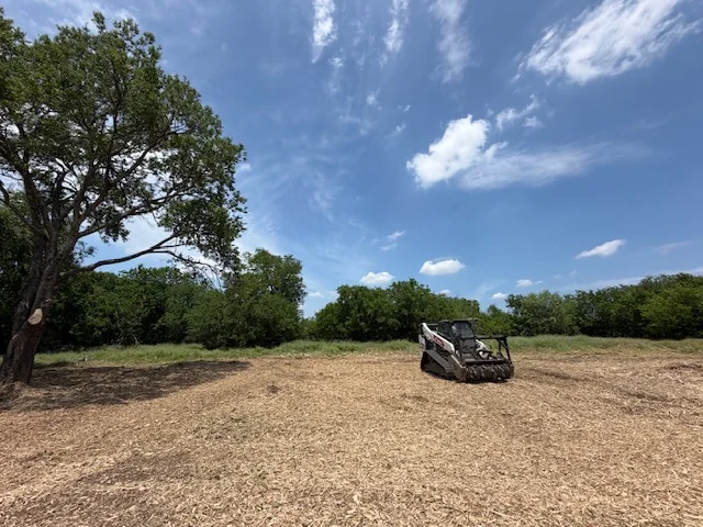 Compact track loader clearing brush from wooded lot with mature oak trees