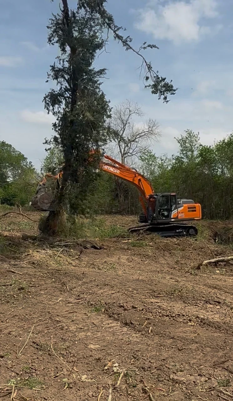 Hitachi excavator with grapple bucket removing large tree covered in ivy from cleared woodland site