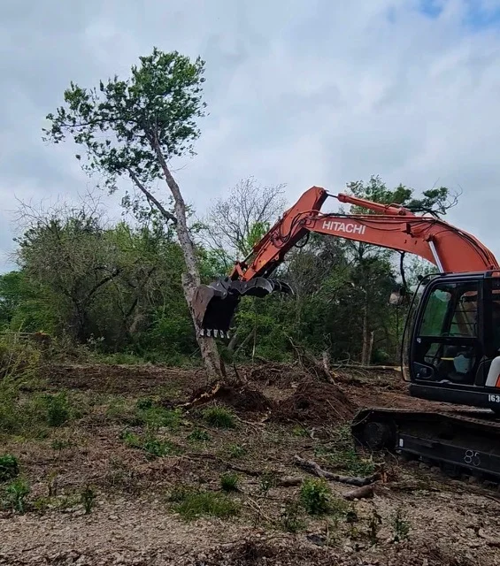 Hitachi excavator removing large tree with exposed roots from cleared lot