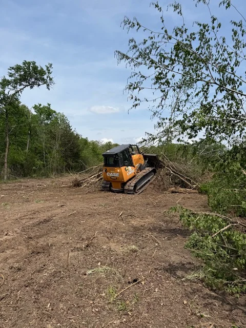 Tracked skid steer loader clearing dense vegetation and fallen trees from wooded site