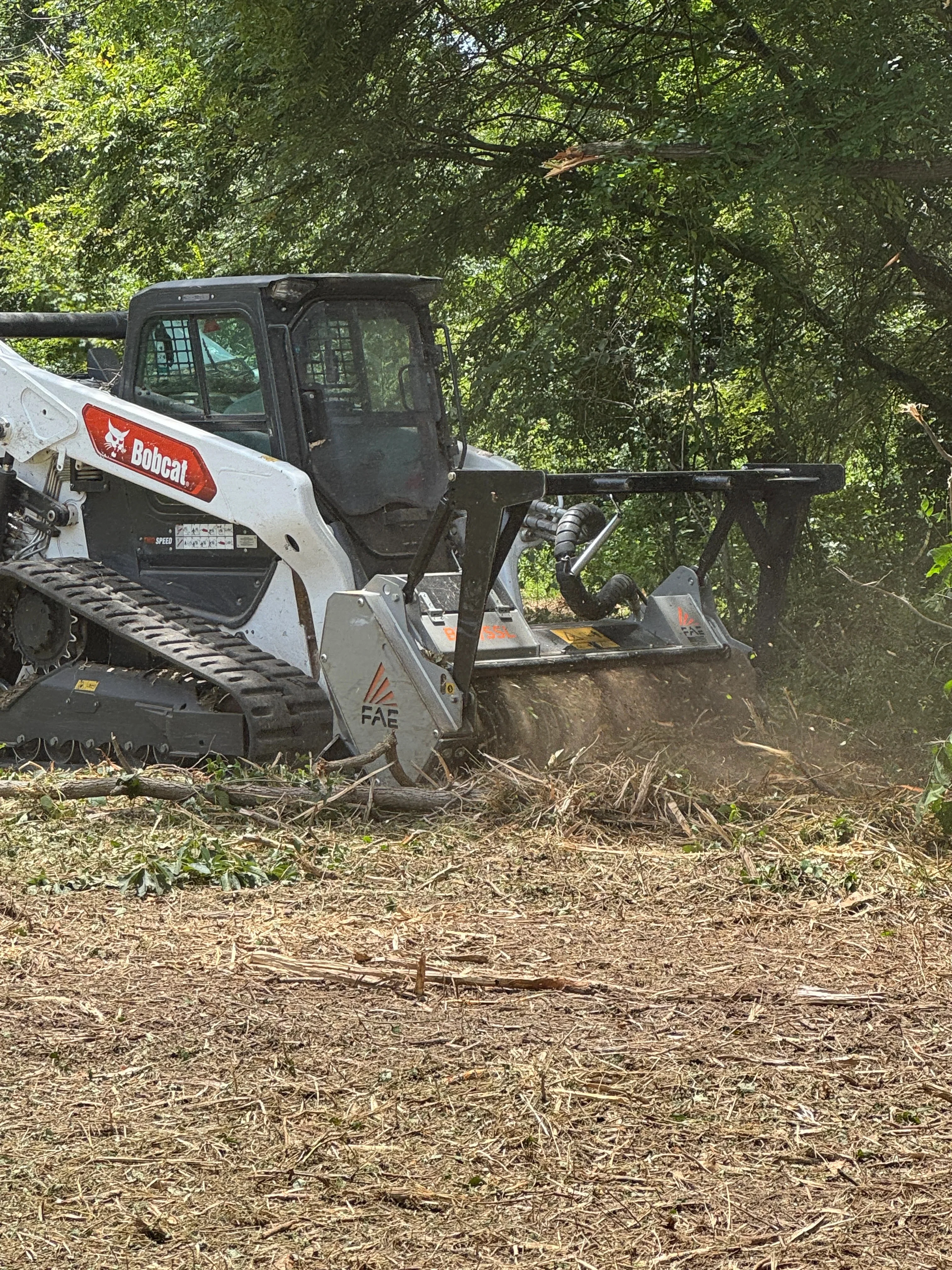A Dallas-area property after forestry mulching, showing cleared ground with a layer of wood chip mulch where dense cedar and brush once stood. Commercial mulching equipment is visible at the edge of the cleared land.